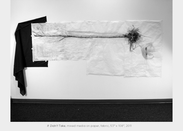 6installationrootstaken